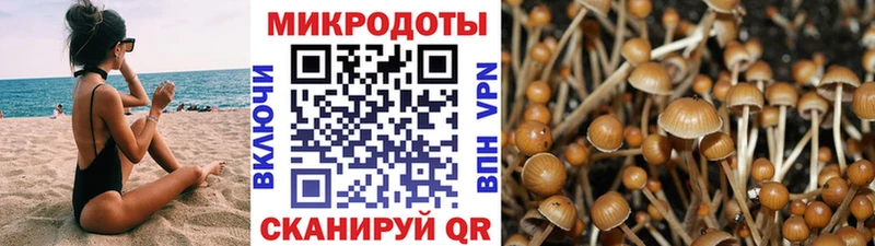 Галлюциногенные грибы прущие грибы  Купить закладки  Лабытнанги 